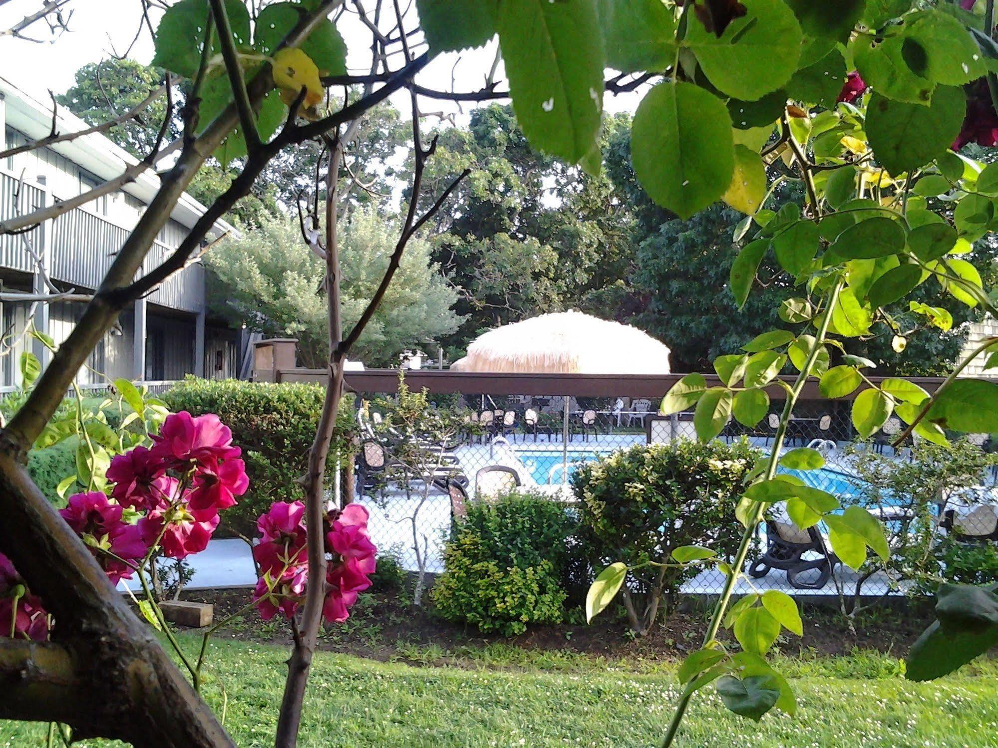 مونتوك Kenny'S Tipperary Inn المظهر الخارجي الصورة